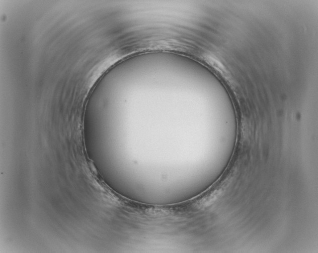 X0000088581089200706151705