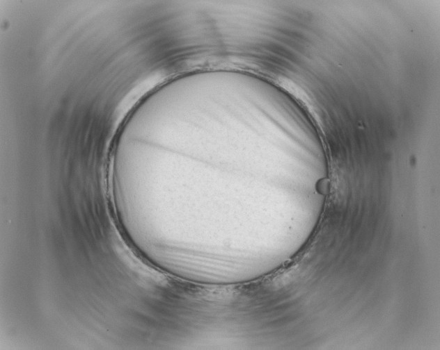 X0000088581090200706151705