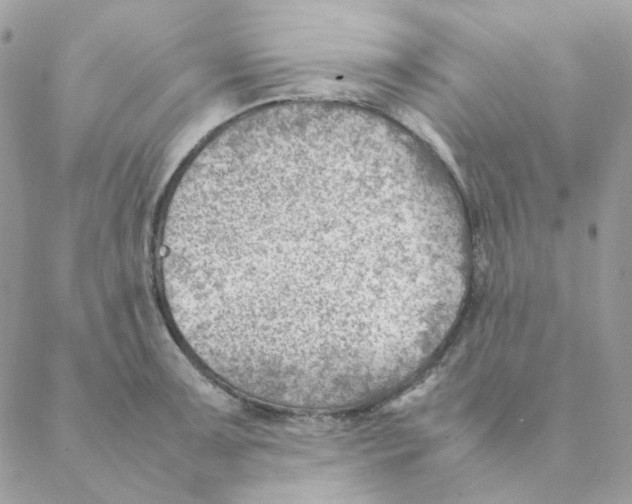 X0000088581091200706151705