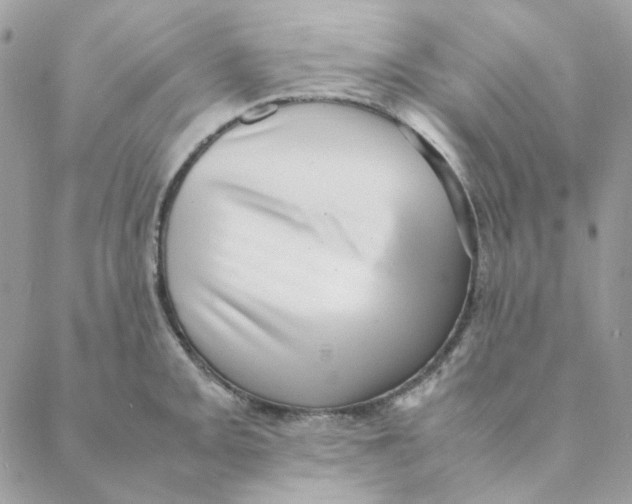 X0000088581093200706151705