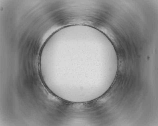 X0000088581094200706151705