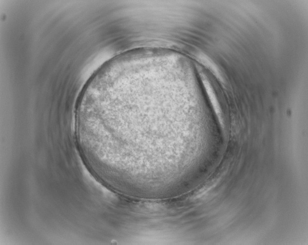 X0000088581095200706151705