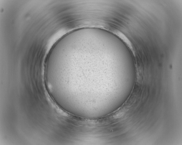 X0000088581096200706151705