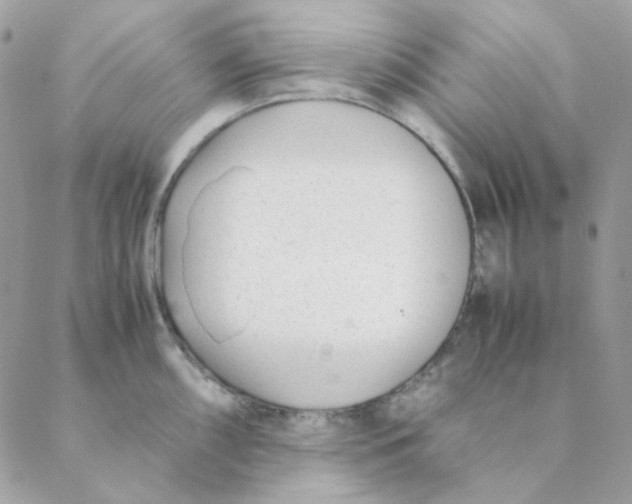 X0000088581098200706151705