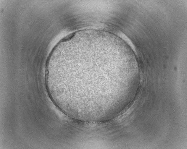 X0000088581099200706151705