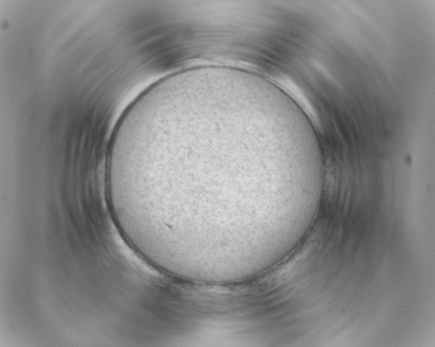 X0000088581100200706151705