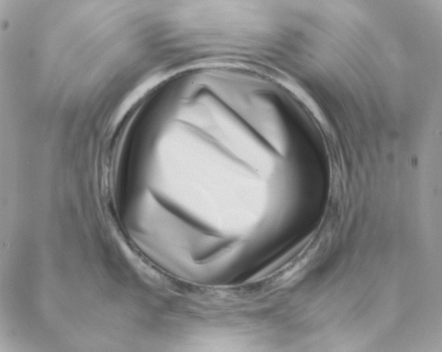 X0000088581101200706151705