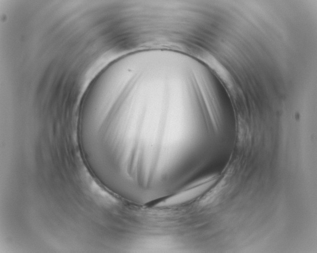 X0000088581102200706151705