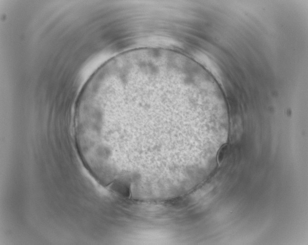 X0000088581103200706151705