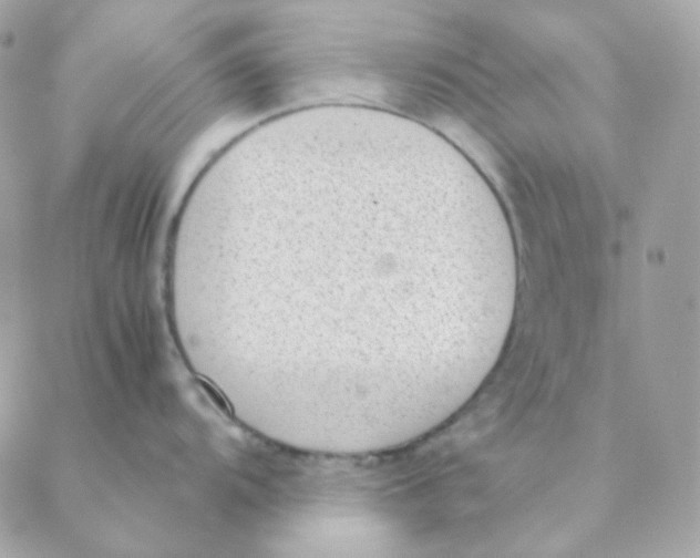 X0000088581104200706151705