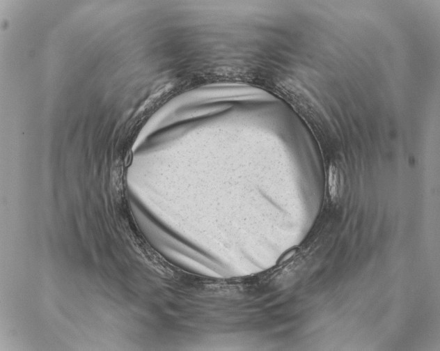 X0000088581107200706151704