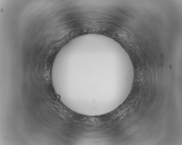 X0000088581109200706151704