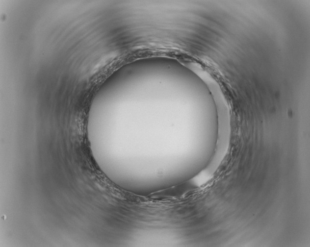 X0000088581110200706151704