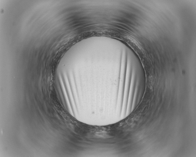 X0000088581111200706151704