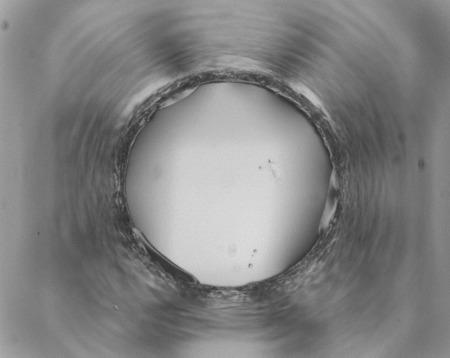 X0000088581112200706151704