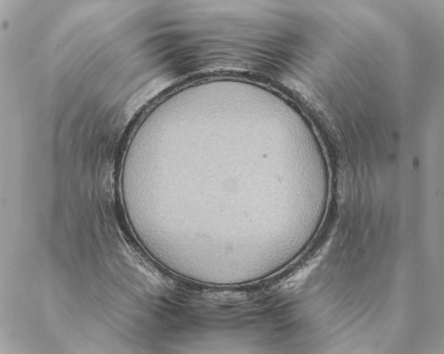 X0000088581113200706151704