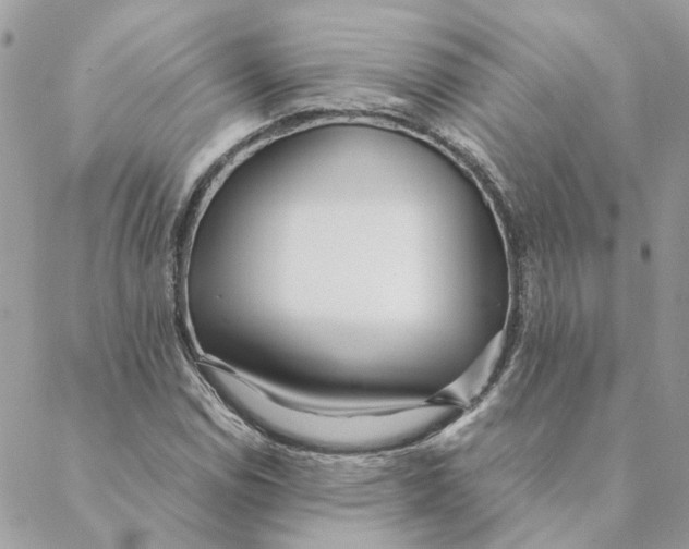 X0000088581114200706151704