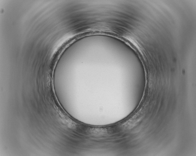 X0000088581115200706151704