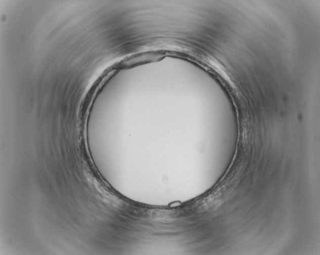 X0000088581116200706151704