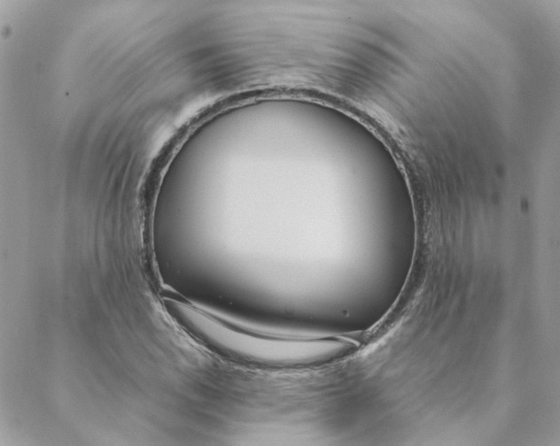 X0000088581118200706151704