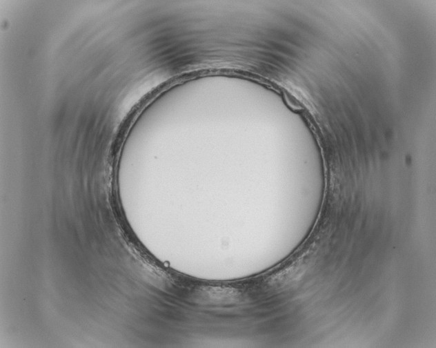 X0000088581119200706151704