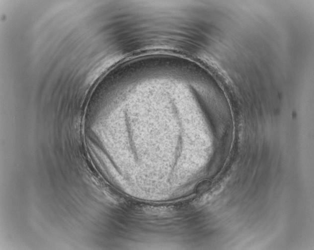 X0000088581121200706151704