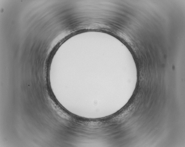 X0000088581122200706151704