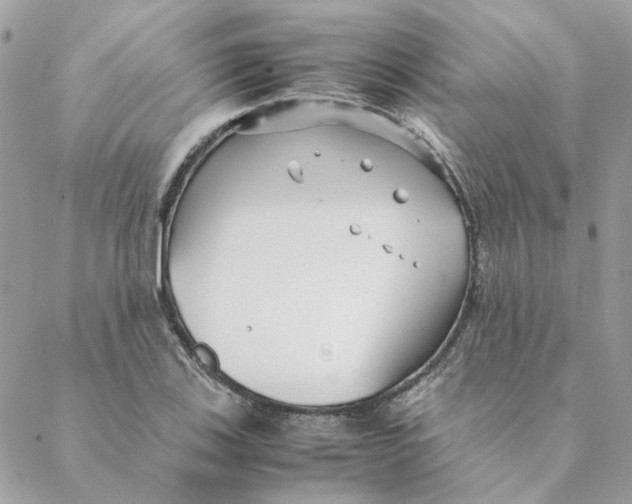 X0000088581123200706151704