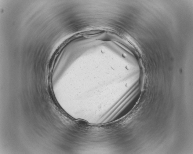 X0000088581124200706151705