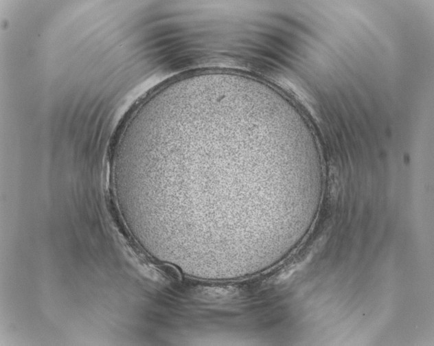 X0000088581125200706151705