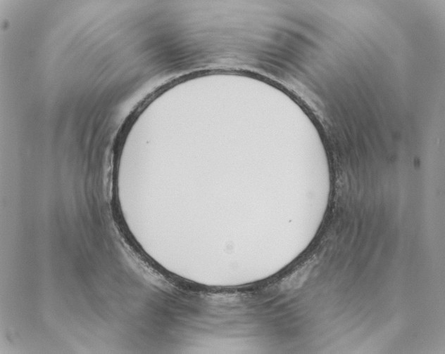 X0000088581126200706151705