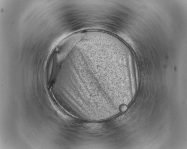 X0000088581127200706151705