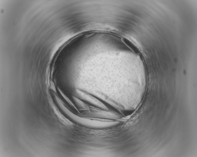 X0000088581128200706151705