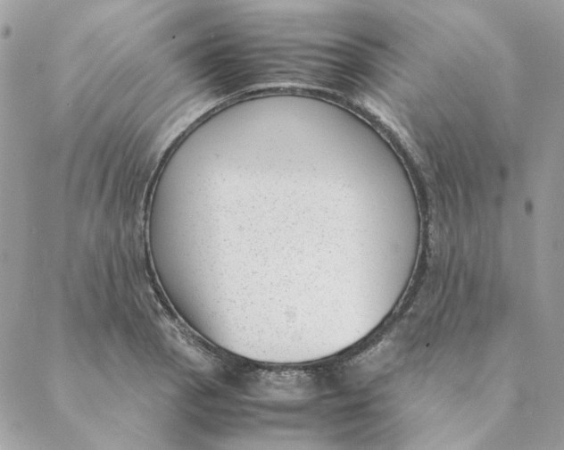 X0000088581129200706151705