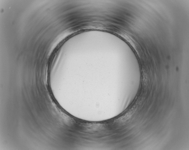 X0000088581131200706151705