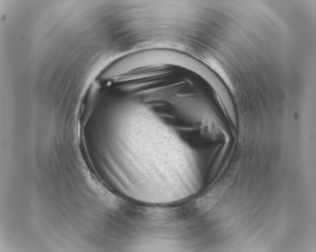 X0000088581132200706151705