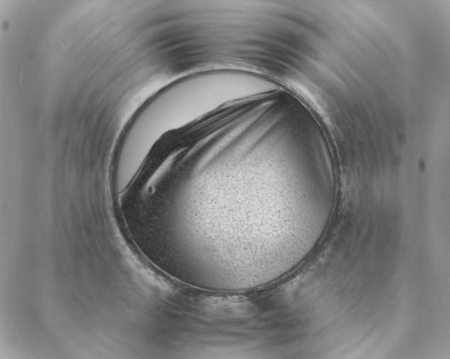 X0000088581133200706151705