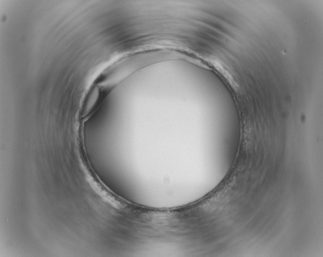 X0000088581134200706151705