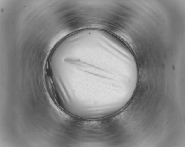 X0000088581135200706151705