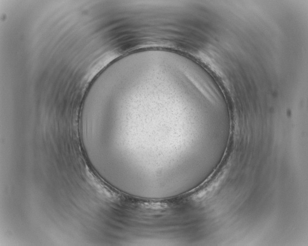 X0000088581137200706151705