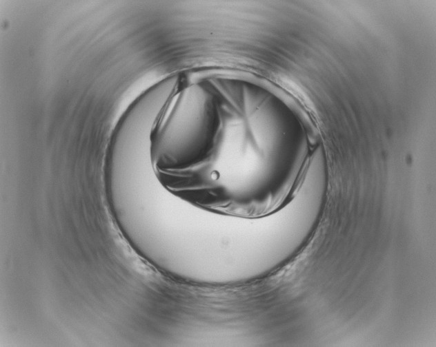 X0000088581138200706151705