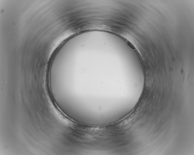 X0000088581139200706151705