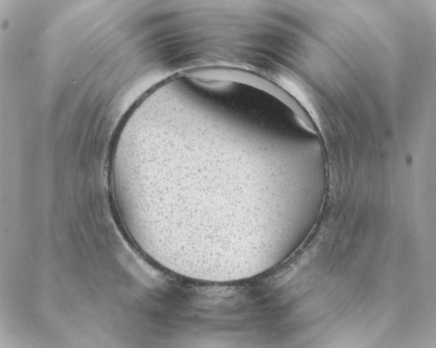 X0000088581141200706151705