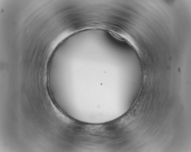 X0000088581143200706151705