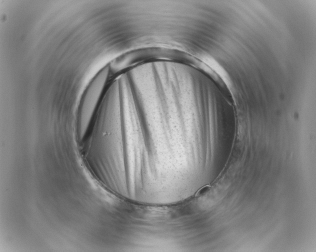 X0000088581144200706151705