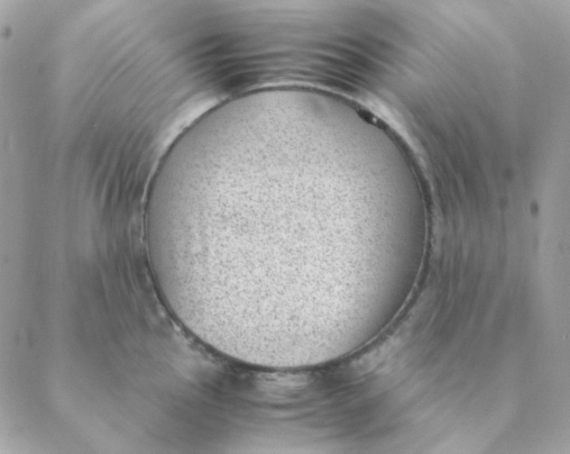 X0000088581145200706151705