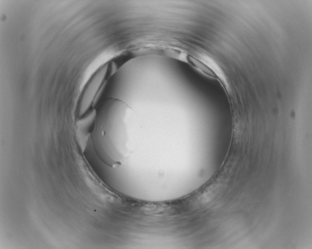 X0000088581146200706151705