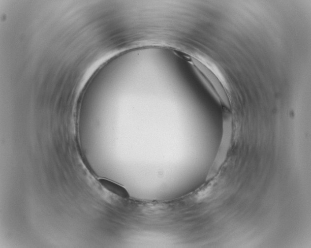 X0000088581148200706151705