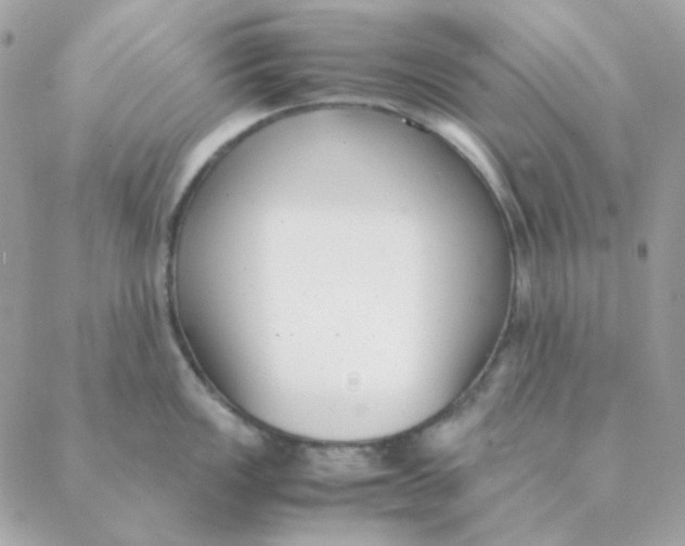 X0000088581149200706151705