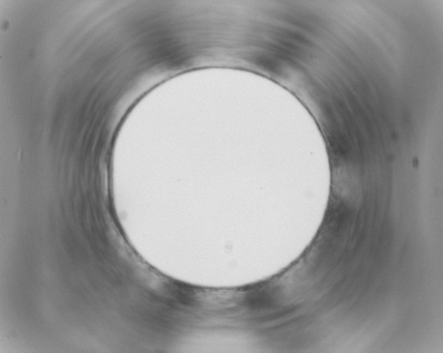 X0000088581150200706151705